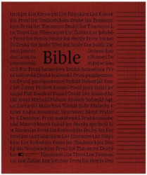 Bible EP s DT, Poznmkov, korlov