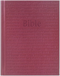 Bible EP s DT, rodinn, vnov