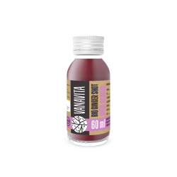 BIO Ginger shot with aronia - VanaVita