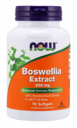 Boswellia Extract 500 mg - NOW Foods