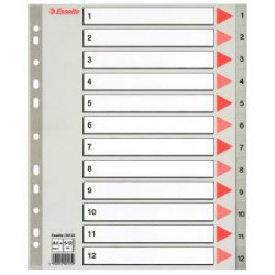 Plastov rozraova Esselte 1-12 maxi siv