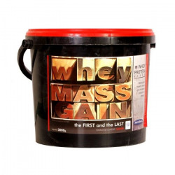 Gainer Whey Mass Gain 3000 g - Megabol