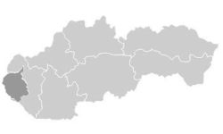 Bunda d�mska shoftshellov� HV Polo Tiffany²�