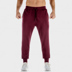 Teplky Lab 360 Joggers Tawny Port - SQUATWOLF