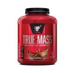 True Mass 2640 g - BSN