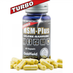 Turbo MSM-Plus - Goldfield